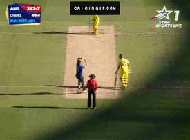 Steven Finn to Glenn Maxwell. (Photo Source: cricingif.com)