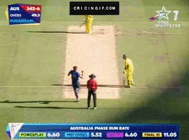 Steven Finn to Brad Haddin. (Photo Source: cricingif.com)