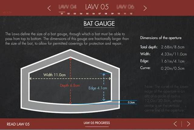 Bat sizes
