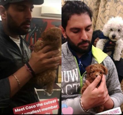 Yuvraj Singh with Coco Singh | CricTracker