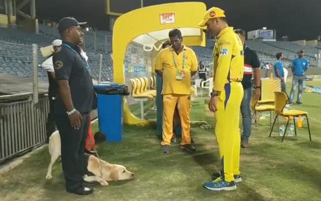 MS Dhoni
