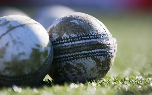 A white cricket ball