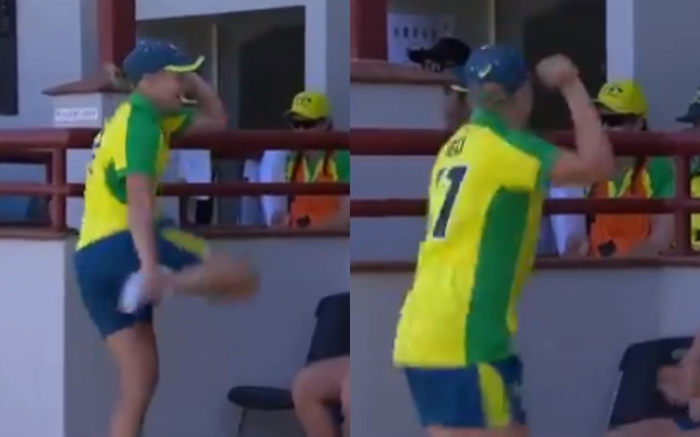 Alyssa Healy