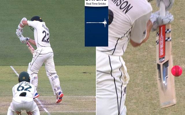 Kane Williamson
