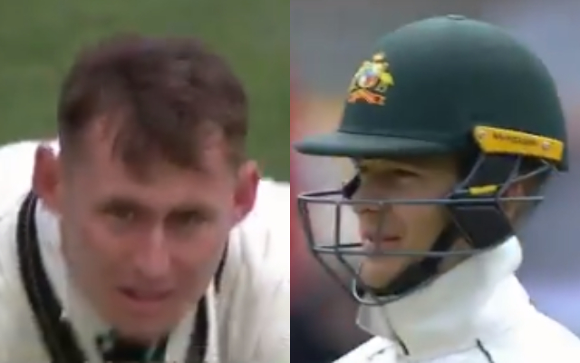 Marnus Labuschagne and Tim Paine