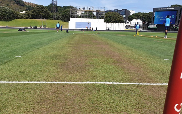 Basin Reserve Pitch