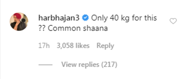 Harbhajan Singh's comment