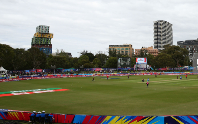 Cricket