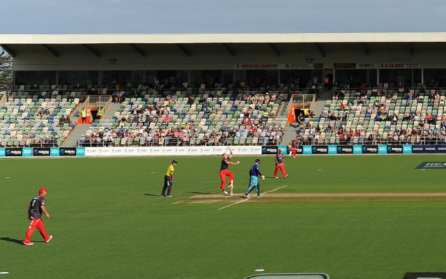 Cricket