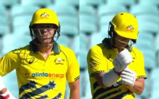 David Warner