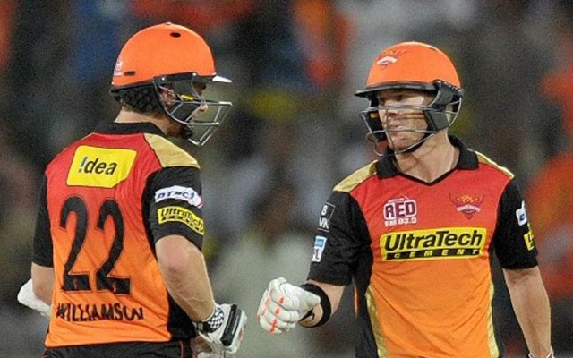 Kane Williamson and David Warner