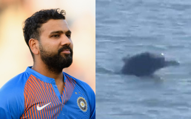 Rohit Sharma.