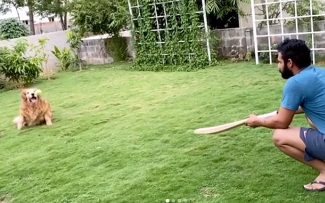 Hanuma Vihari