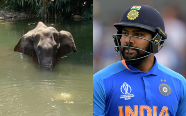 Rohit Sharma