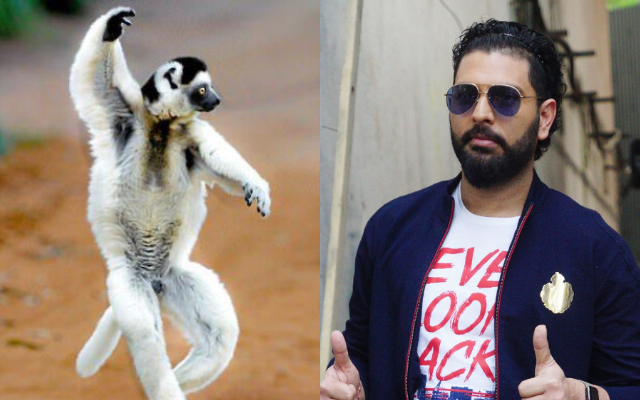 Sifaka and Yuvraj Singh