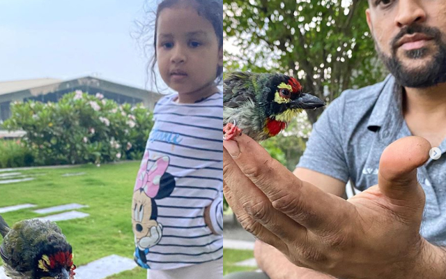 Ziva Singh Dhoni and MS Dhoni