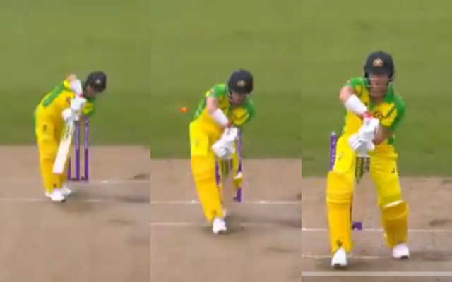 David Warner