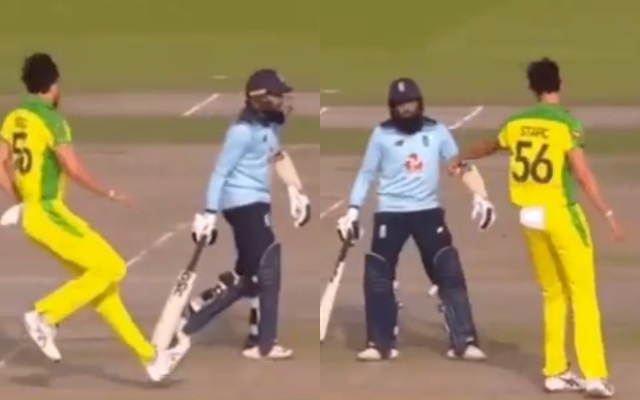 Mitchell Starc and Adil Rashid