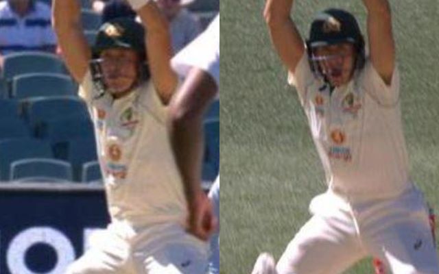 Twitter trolls Marnus Labuschagne for calling 'no run' while leaving