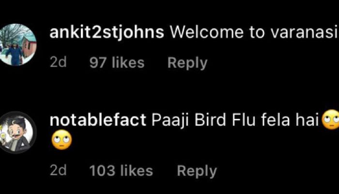 Bird Flu's comment