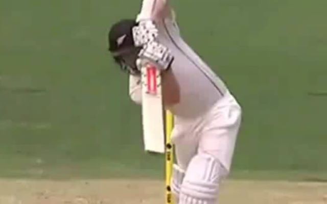 Kane Williamson