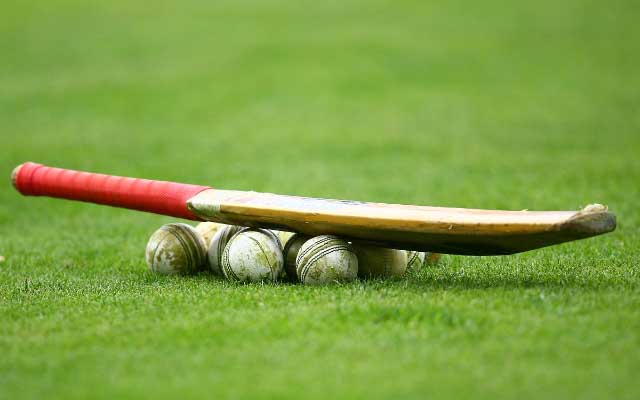 Cricket